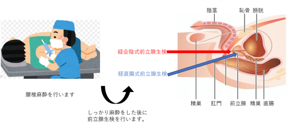 図15軽