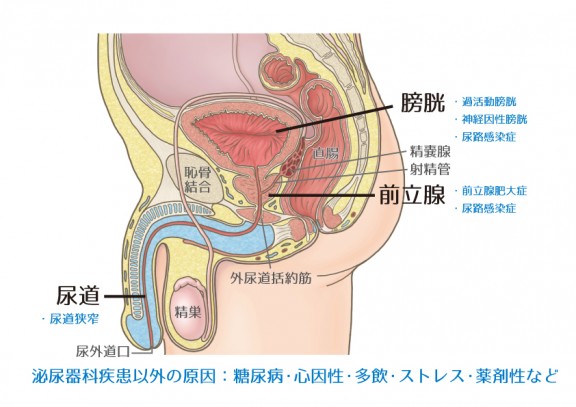 図4