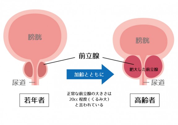 図5