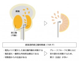 図6